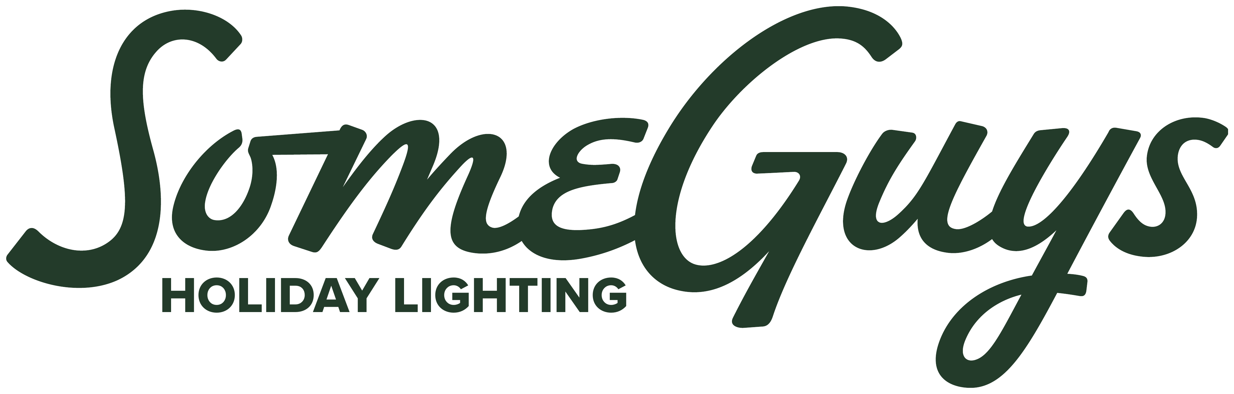 SomeGuys Holiday Lighting